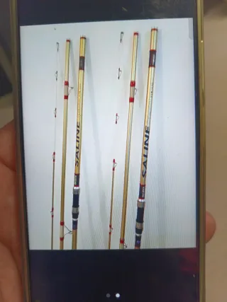 Caña de pescar Akami Saline Special 33