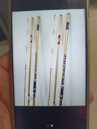 Caña de pescar Akami Saline Special 33