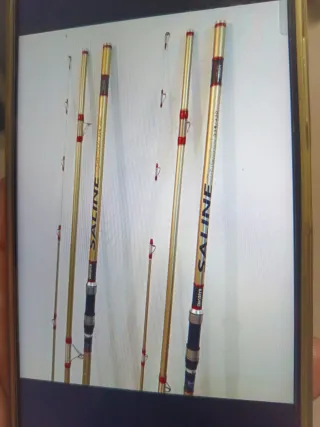 Caña de pescar Akami Saline Special 33