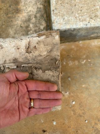 Viga de roble viejo de 7 metros de longitud.