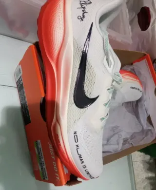 Nike Air Zoom Pegasus 41 EK