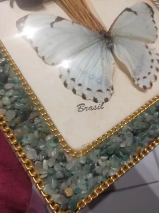 Quadro farfalle Brasil