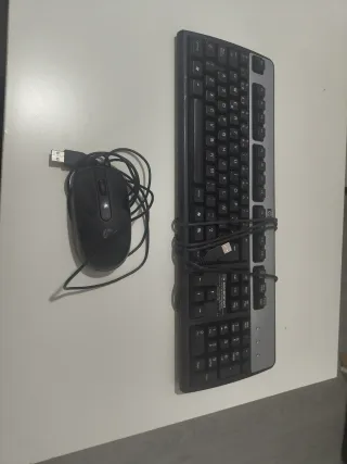 Teclado y Ratón HP USB Negro/Plata