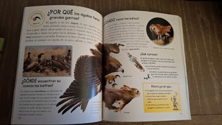 Los porqués de los animales