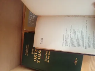 Qué es la filosofía y La Rebelión de las masas