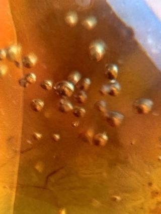 Burbujas + inclusiones ámbar birmano cretácico