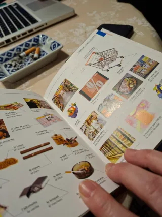 Diccionario visual francés-español