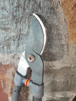 Rastrillo, tijeras de podar y cubo, ver fotos.