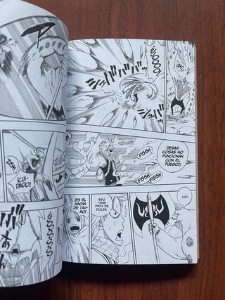 FAIRY TAIL 01 (CÓMIC MANGA) (Spanish Edition)