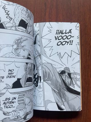 FAIRY TAIL 01 (CÓMIC MANGA) (Spanish Edition)