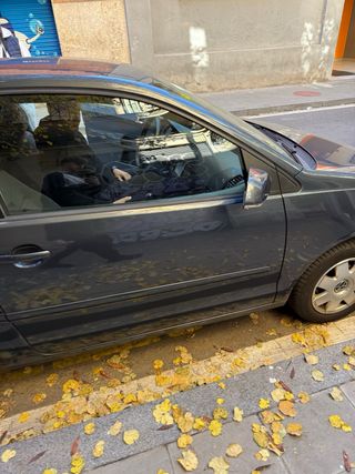 Volkswagen Polo 2006