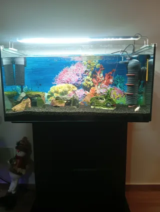 Acuario Eheim 120L