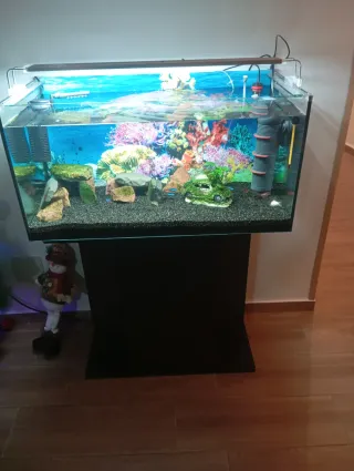 Acuario Eheim 120L
