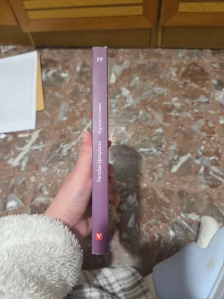 Novelas Ejemplares (Spanish Edition)