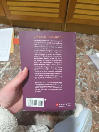 Novelas Ejemplares (Spanish Edition)