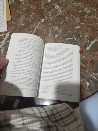 Novelas Ejemplares (Spanish Edition)