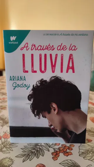 A través de la lluvia (edición revisada por la ...