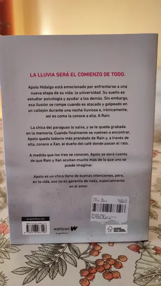 A través de la lluvia (edición revisada por la ...
