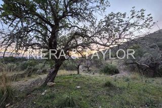 Terreno en venta en Sant Llorenç des Cardassar