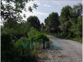 Solar en venta en Alginet