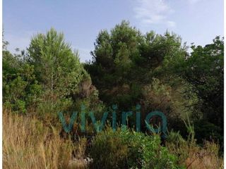 Solar en venta en Alginet