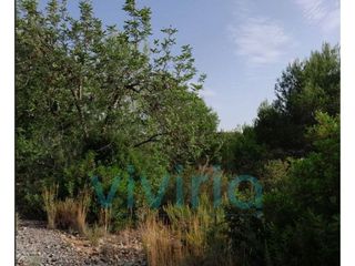 Solar en venta en Alginet