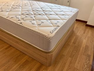 Canapé abatible con colchón 28 cm