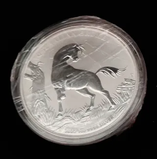 Colección Brumby 2020-2025