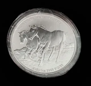 Colección Brumby 2020-2025