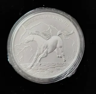 Colección Brumby 2020-2025