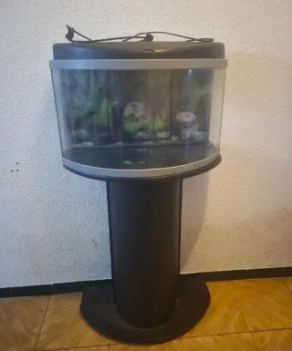 Acuario panorámico  70l con mueble