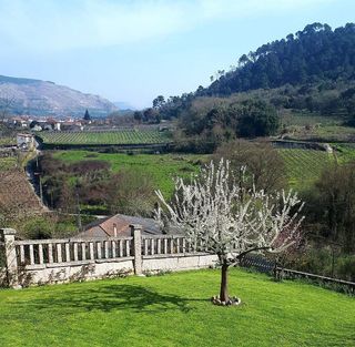 Casa en venta en Castrelo de Miño