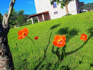 Casa en venta en Castrelo de Miño