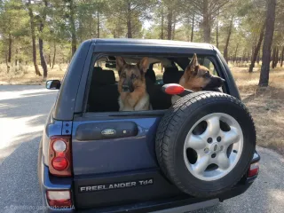Land Rover Freelander 2006