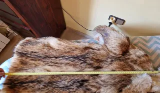 Abrigo Piel Coyote Auténtica