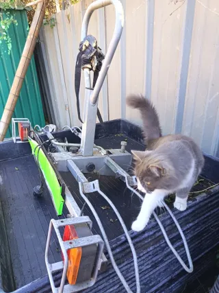 Portabicicletas con matrícula