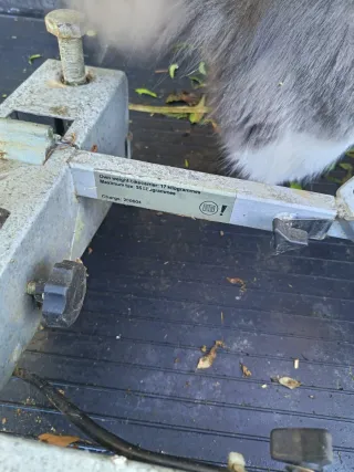 Portabicicletas con matrícula