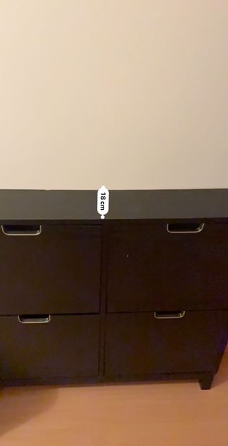 Zapatera negra y blanca