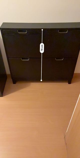 Zapatera negra y blanca