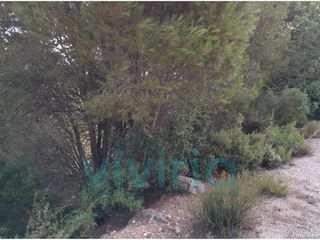 Solar en venta en Alginet