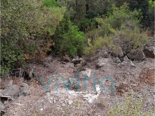 Solar en venta en Alginet