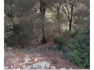 Solar en venta en Alginet