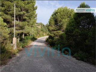 Solar en venta en Alginet