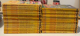 El templo del rubí de fuego: Geronimo Stilton 48