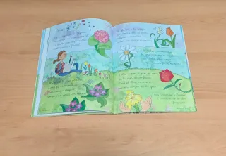 LLENGUA 1 PRIMARIA ELS CAMINS DEL SABER