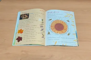 LLENGUA 1 PRIMARIA ELS CAMINS DEL SABER