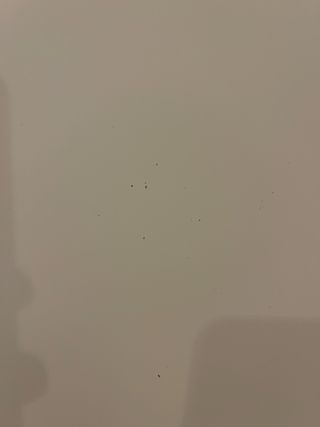 Mesa de comedor blanca 100x60