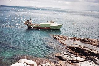 Piso en venta en Port Esportiu - Puig Rom - Canyelles en Roses