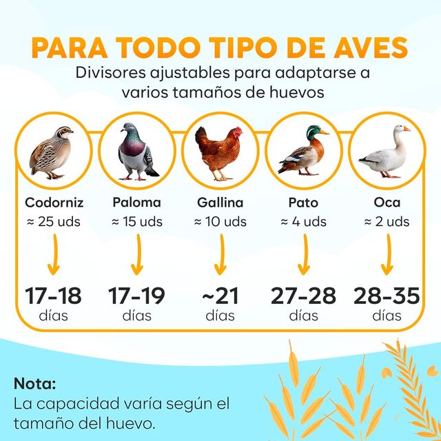 INCUBADORA HUEVOS 12 AUTOMÁTICA GIRO HUMEDAD 360°