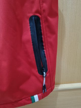 Chaleco Prema Theodore Racing 2018